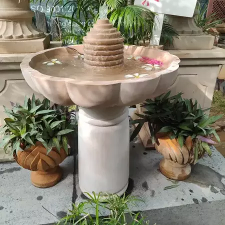 Top 5 Best and Unique Birdbath Choices for Balcony, Garden and Backyard